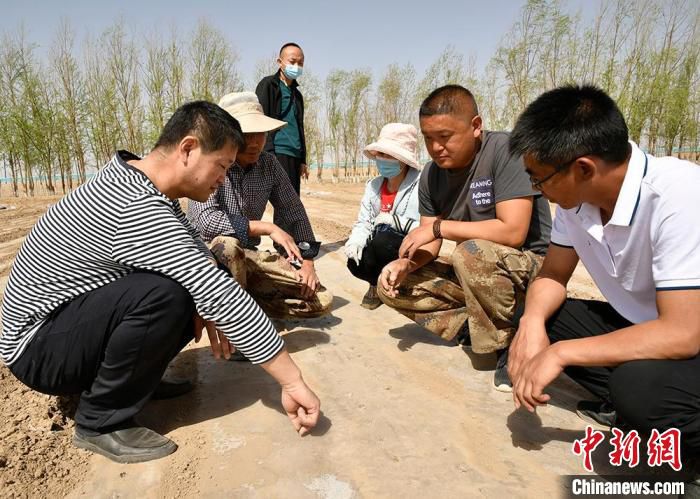 农业专家在田间地头讲技术。　李芸 摄