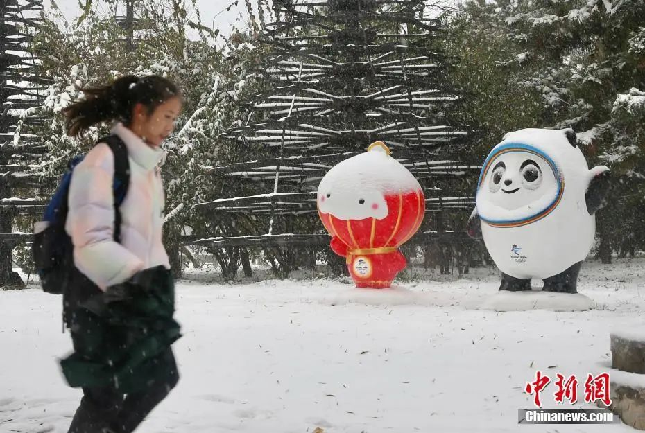北京街头树立的北京2022年冬奥会和冬残奥会吉祥物“冰墩墩”和“雪容融”的雕塑与行人“共赏”雪景。中新社记者 易海菲 摄 