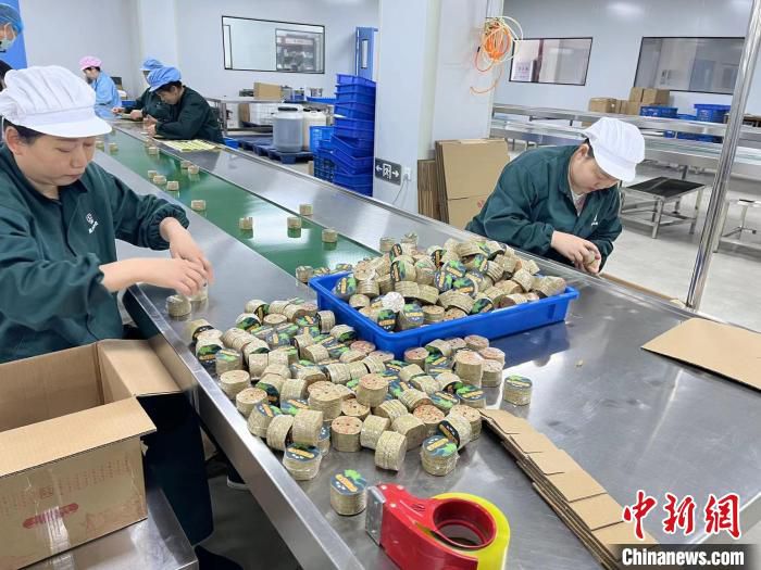 图为蕲春一家蕲艾企业的工人正在制作艾灸产品 武一力 摄