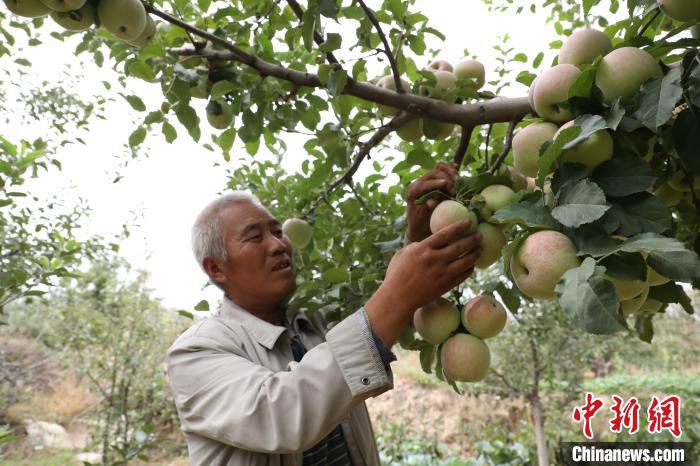 图为特色产业助力村民脱贫致富奔小康。(资料图) 石延寿 摄