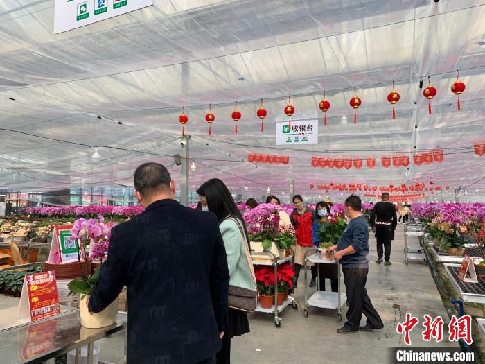 “番禺线上花市”助力年宵花销售 李卓妍 摄