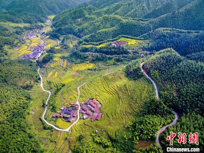图为福建一处省际公路鸟瞰图。　福建省交通运输厅 供图