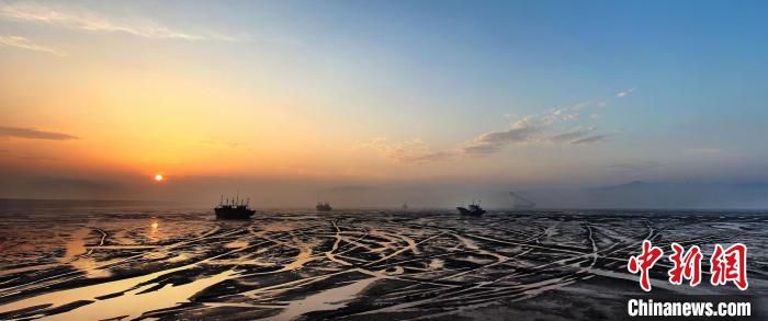 浙江洞头海岸滩涂 董萱供图