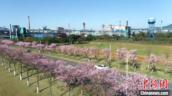 韶钢在“双变”带动下，企业环境及活力越来越好。　张伟 摄