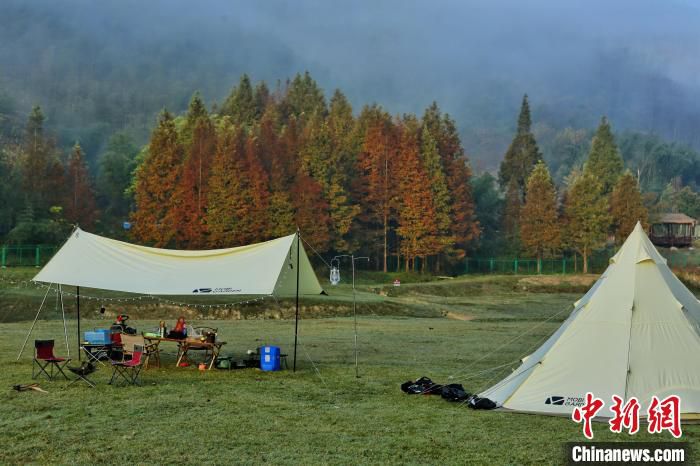 安吉小杭坑营地。　安吉县文化和广电旅游体育局供图
