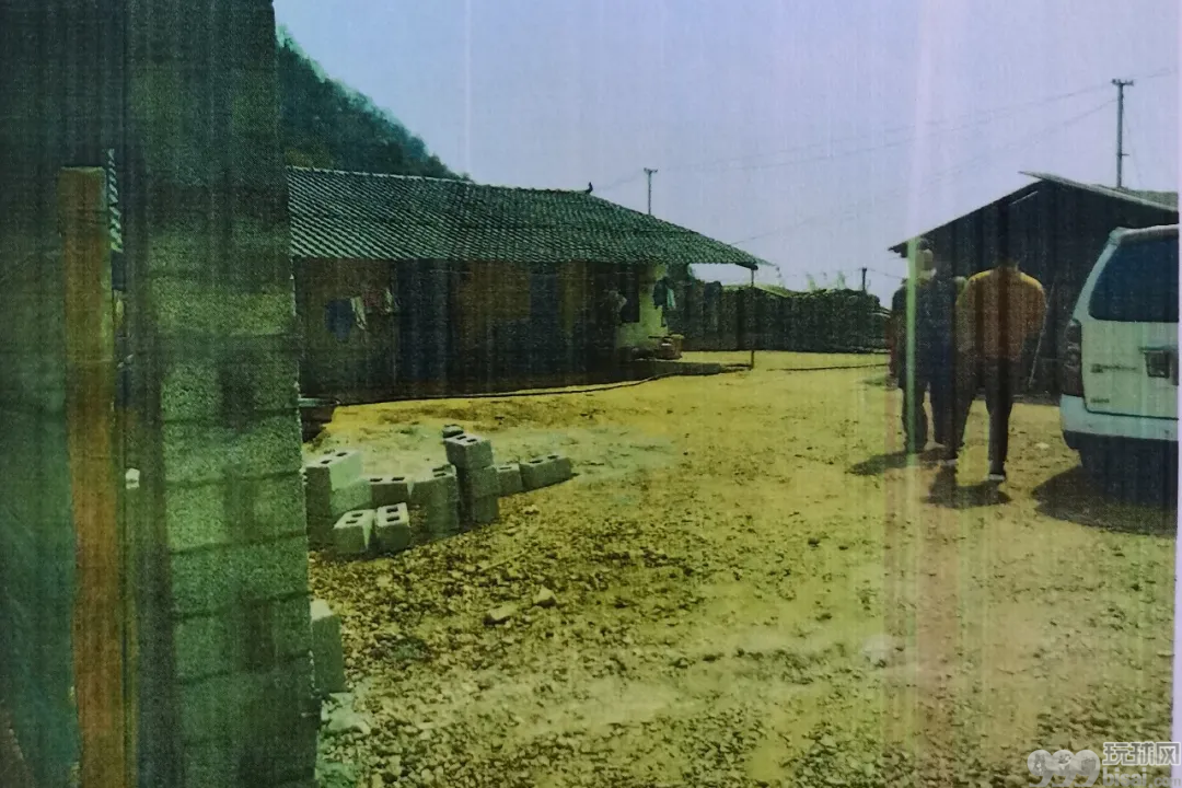 组织他人偷渡去缅甸从事网络赌博 福建9人被判刑