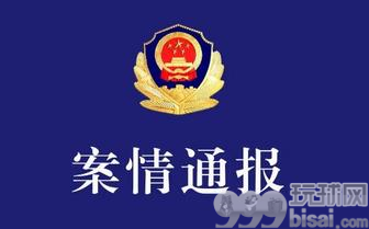 广东湛江警方捣毁两个特大网贷诈骗团伙 抓161人