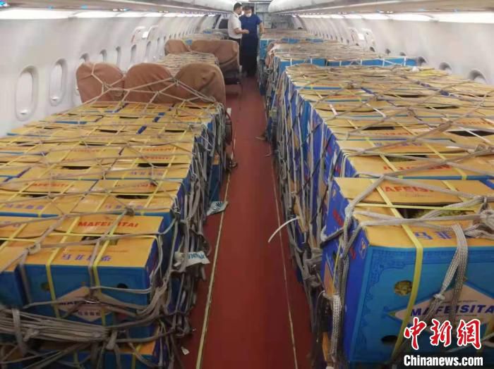 东航物流从多个国家进口千余吨优质美味生鲜。　东航物流供图