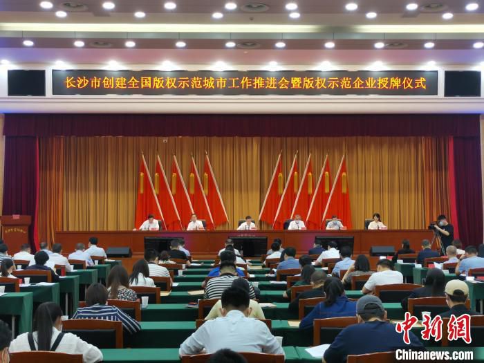 长沙市创建全国版权示范城市工作推进会现场。　向一鹏 摄