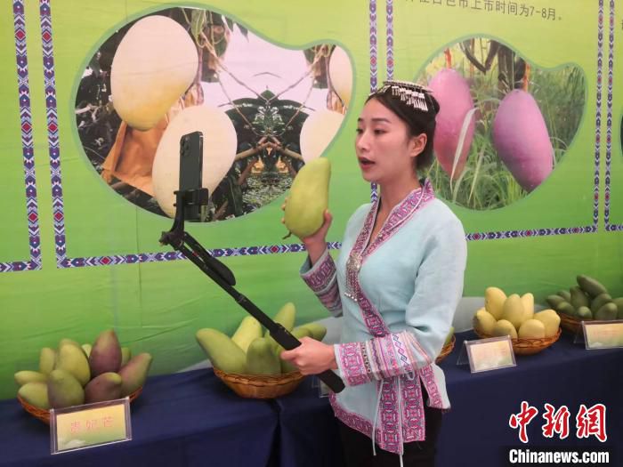 一名网络主播在百色芒果节进行网络营销。　杨强 摄