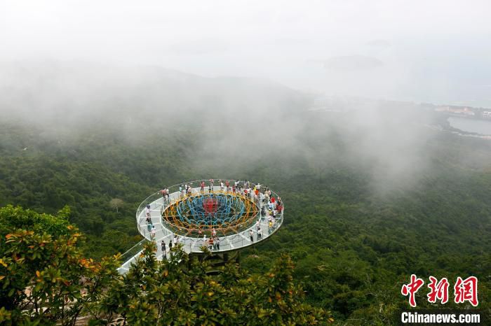 亚龙湾热带天堂森林公园，游客新年登高讨彩头。　王晓斌 摄