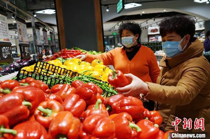 资料图为居民正在采购蔬菜。　马铭言 摄