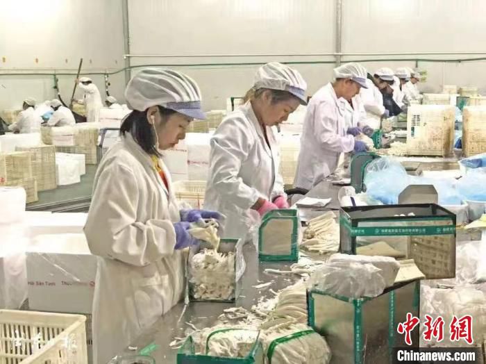 生产线上的工作人员正在工作。　谢冰媛 供图