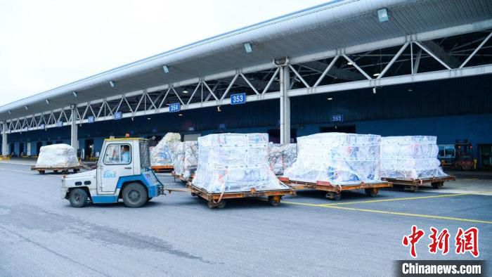 新冠疫苗的航空出口运输保障 上海机场集团供图