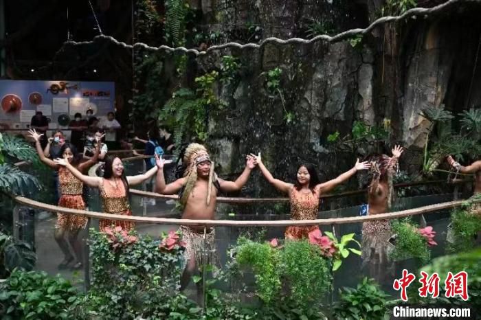 广州正佳雨林生态植物园举行特色表演 陈楚红 摄