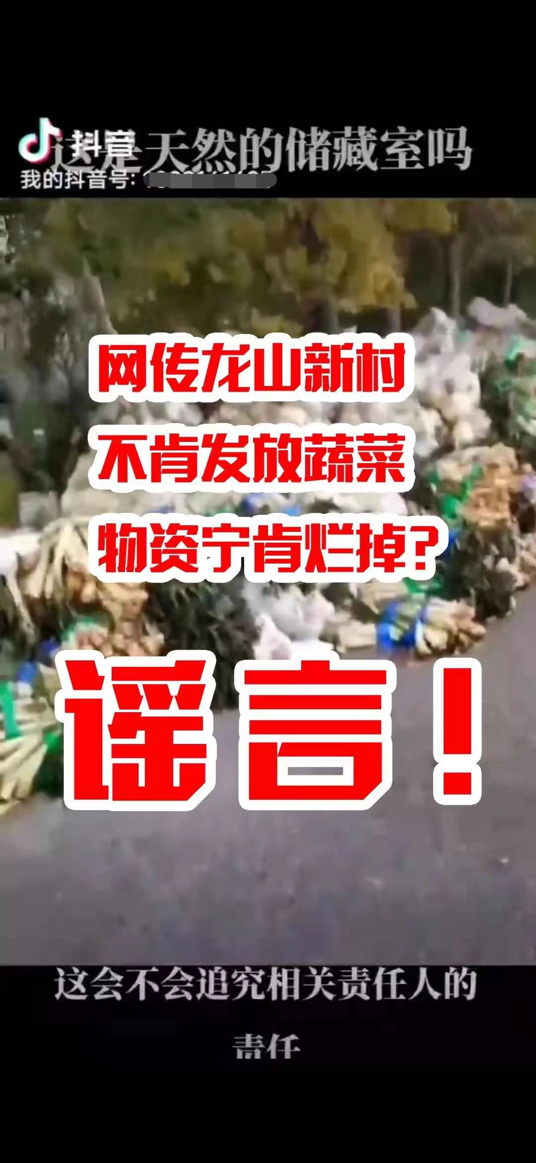 图自警民直通车上海