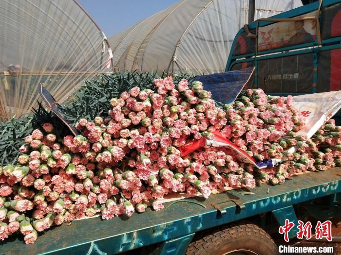 图为即将打包发货的鲜切花。　开远市融媒体中心供图