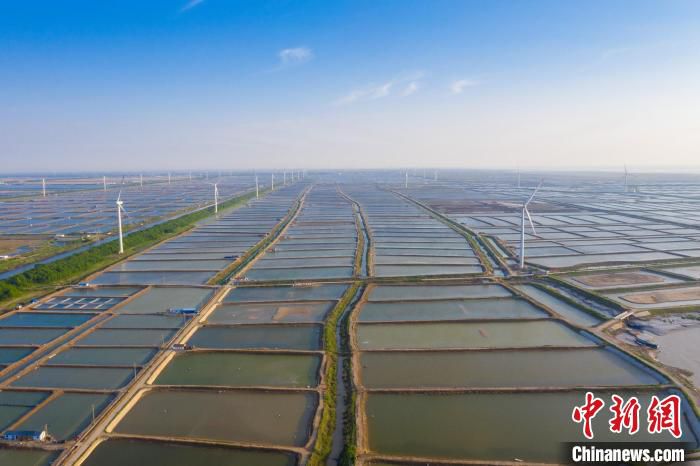 航拍巴斗村特色海水养殖。资料图 东台市弶港镇供图