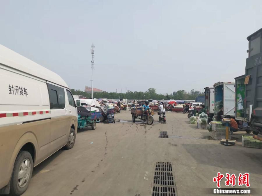 北京新发地。中新财经记者谢艺观 摄