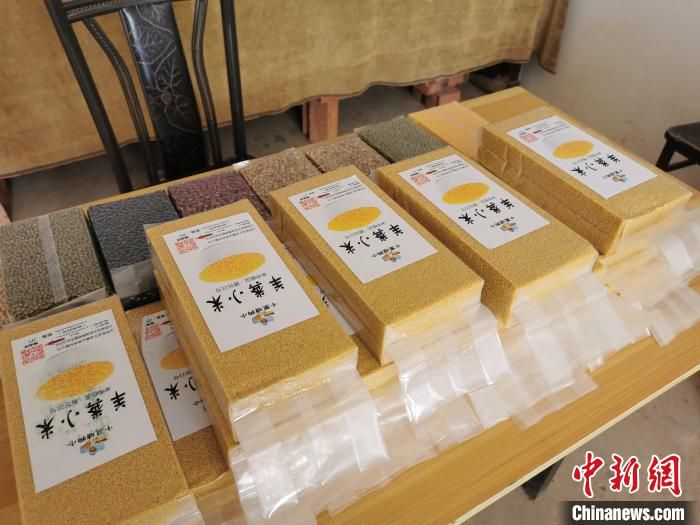 “小米粒”撬动大市场，山西武乡小米产业乡村振兴“挑大梁”。　高瑞峰 摄