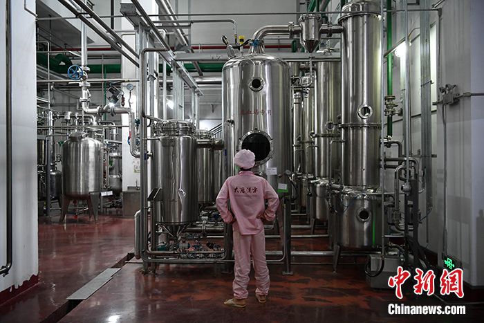 图为6月29日，普洱市一家生物医药企业的生产车间。 中新社记者 刘冉阳 摄