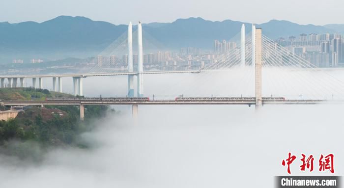 图为重庆轨道列车开行在蔡家轨道专用桥上。　张焱 摄