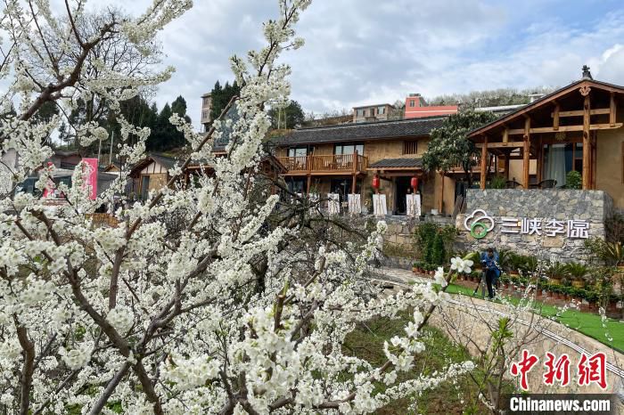 3月6日，位于巫山县曲尺乡的三峡李院正式开园迎客。　何蓬磊 摄