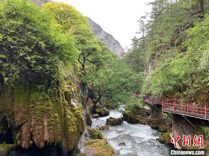 图为普达措至尼汝村徒步沿线美景。　熊佳欣 摄