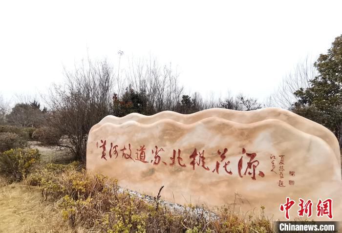 黄河故道苏北桃花源。　谷华 摄