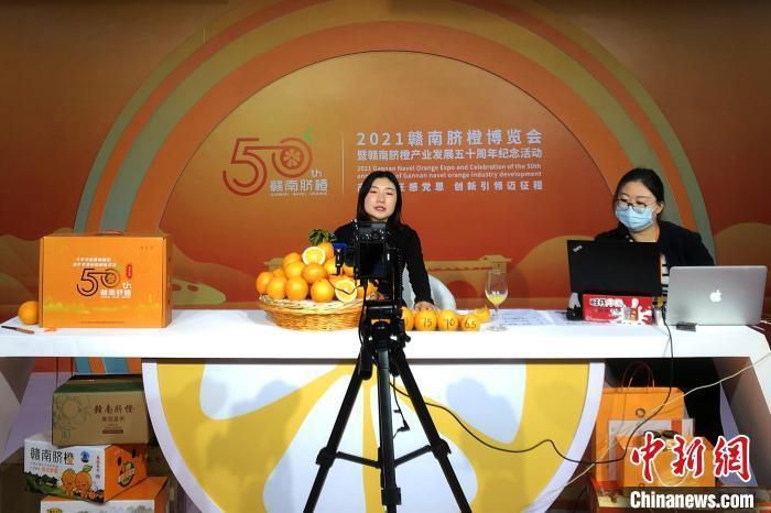 图为2021赣南脐橙博览会期间，一位电商主播推广赣南脐橙。(资料图) 吴鹏泉 摄