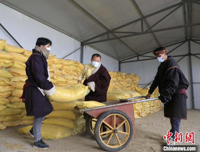 图为工作人员转运饲料。　张海麟 摄