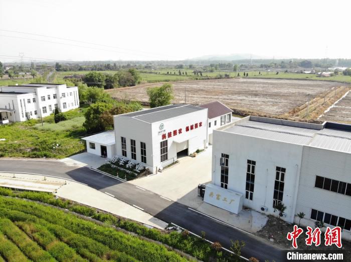 俯瞰稻丰农业飞防植保基地 徐成 供图