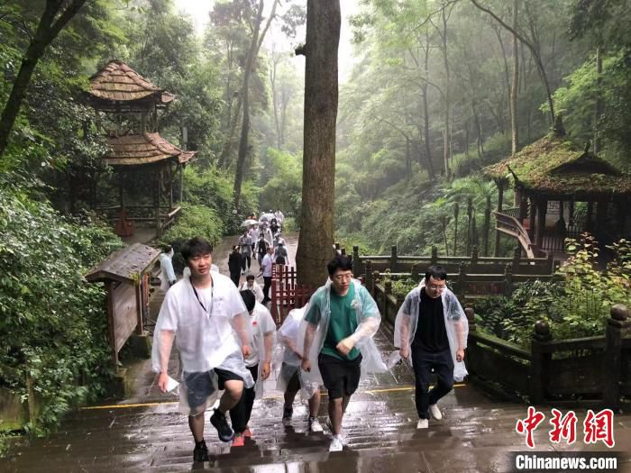 围棋国手雨中登青城。　成都棋院供图
