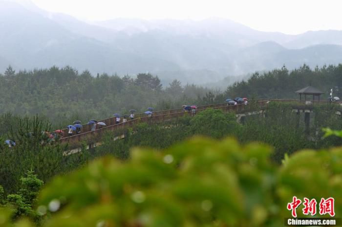 在雨水的润泽下，武平中山河国家湿地公园呈现出别样美景，如一幅山水画。