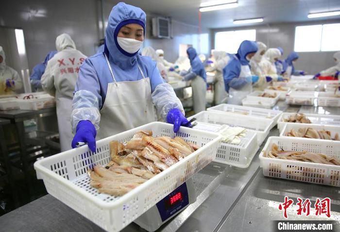 珲春水产加工业。(资料图) 珲春市委宣传部供图