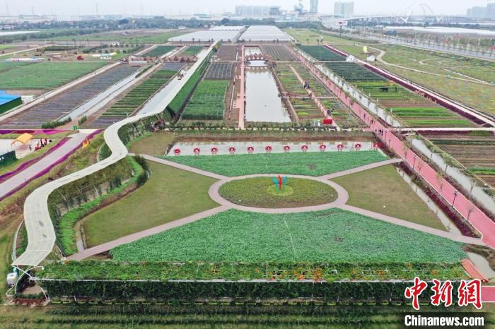 俯拍南沙明珠农业公园 南沙区政府 供图