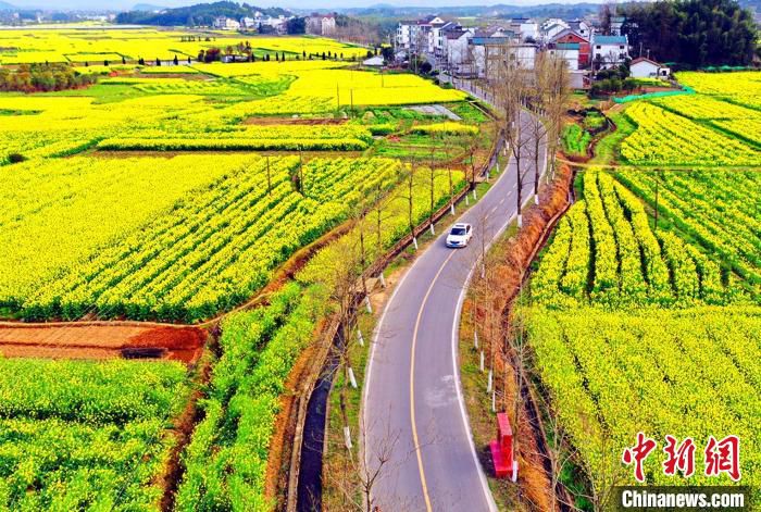图为江西乡村公路。　赣路轩 摄