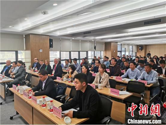 资料图：2019合肥-欧洲高科技项目投资对接会现场。　合肥中德创新中心供图