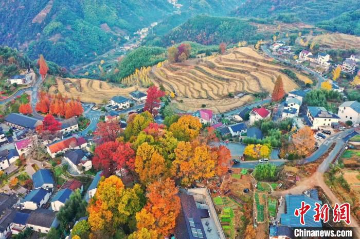 杭州临安指南村的风光。　临安区文化和广电旅游体育局供图