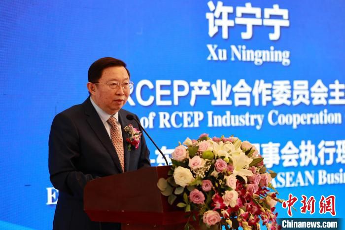 中国—东盟商务理事会执行理事长、RCEP产业合作委员会主席许宁宁致辞。　李鹏亿 摄