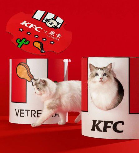 肯德基联名某宠物品牌推出的猫抓桶。