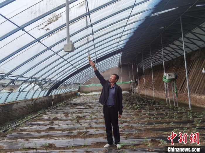 图为石头坑村的种植大棚内安装的“大棚宝”。　李洋 摄