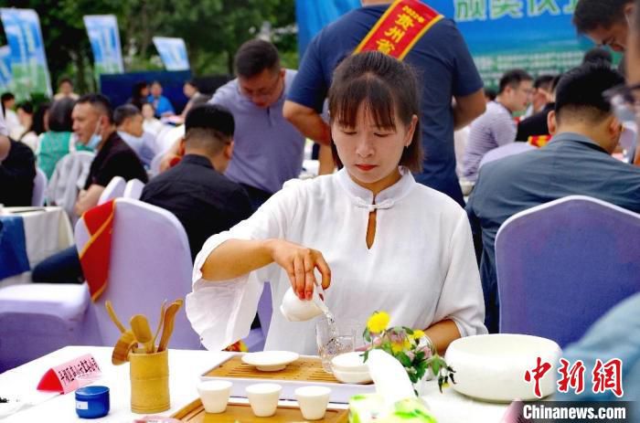 图为现场品茶。　王超 摄