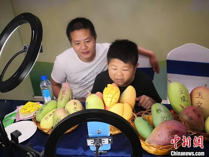 网络达人助推百色芒果行销。　杨强 摄