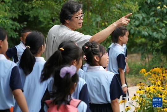 大山里的“陶艺村”：用艺术为乡村振兴赋能