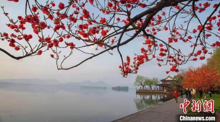 杭州西湖风景图。　马立群 摄