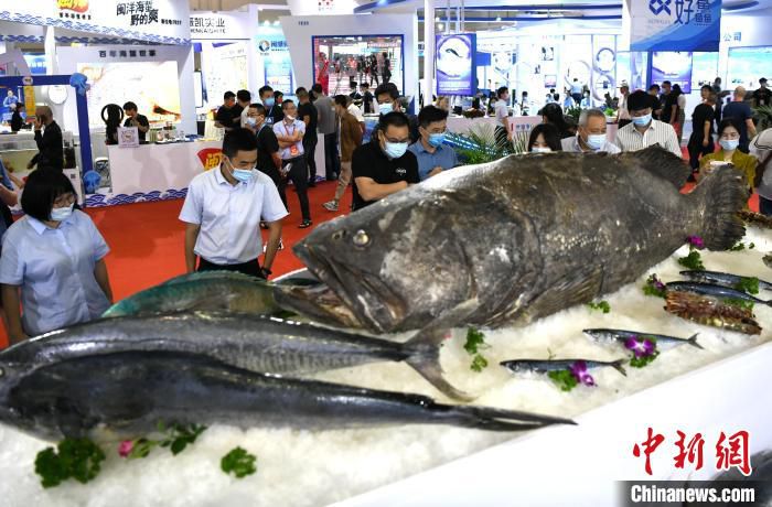 2022海峡（福州）渔业周·中国（福州）国际渔业博览会（简称“渔博会”）10日在福州启动。　王东明　摄