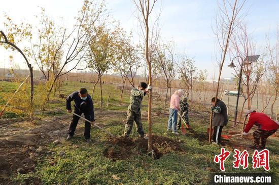 新疆兵团第十二师开展秋季植树活动。(资料图) 新疆兵团第十二师融媒体中心供图