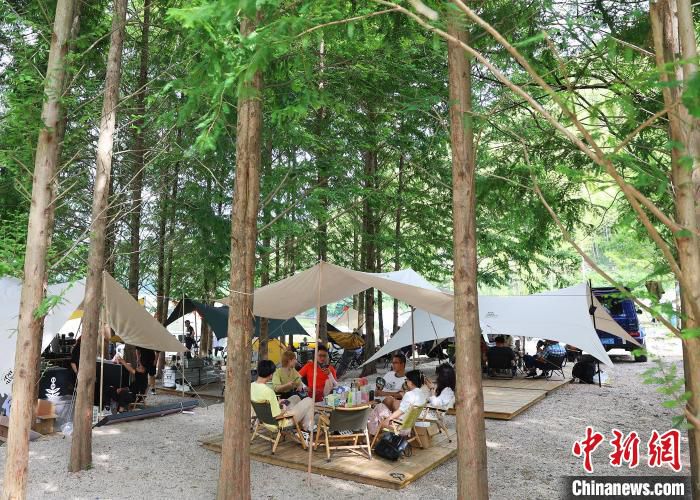 浙江安吉，时下正火的露营经济 夏鹏飞 摄