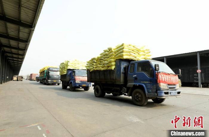 哈尔滨铁路保障春耕化肥运输畅通。　哈铁提供
